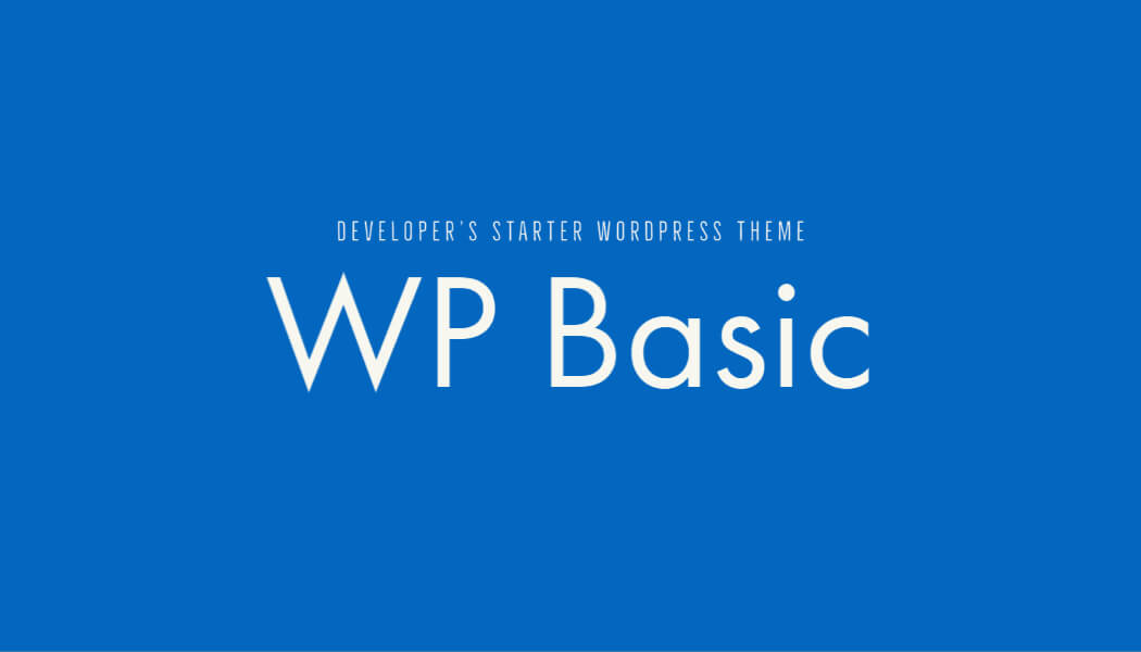 Developer's Starter WordPress