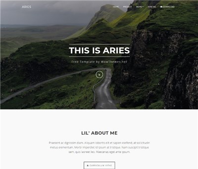 Aries - Free Bootstrap HTML Template